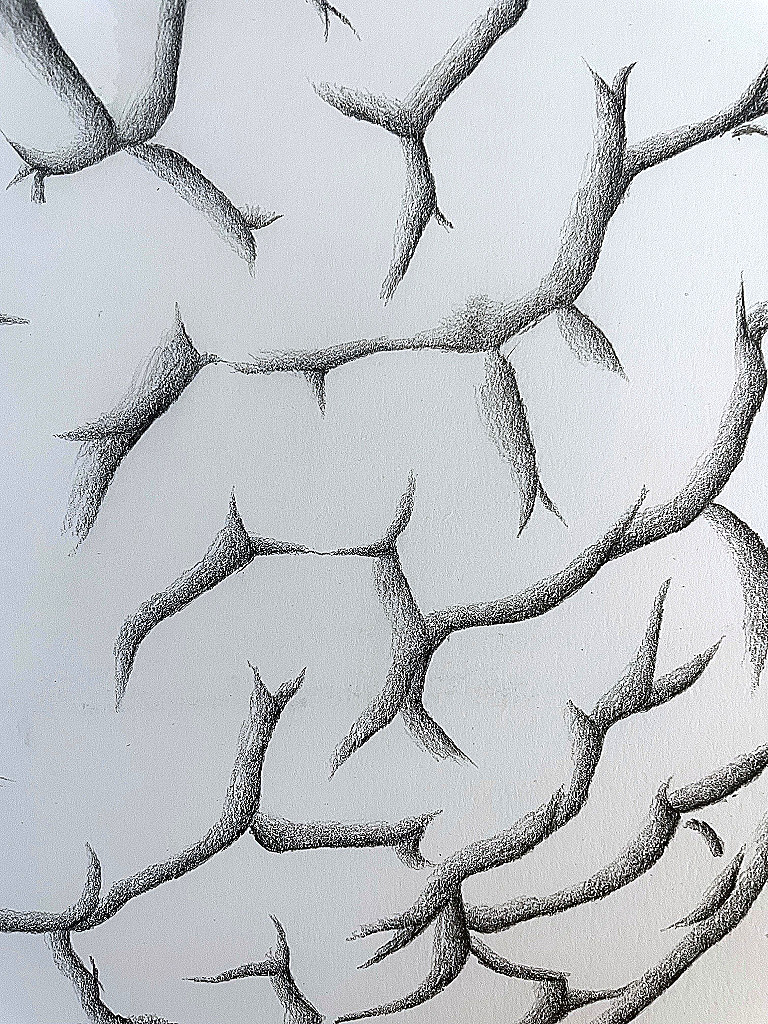 Brain Detail Web Roots My Right Brain Half