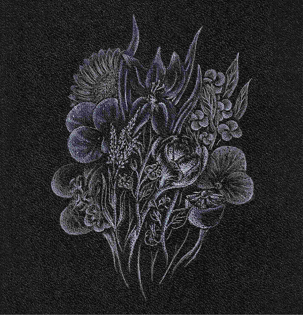 Live Lines #11–13 — White Charcoal Bouquet on Black Paper