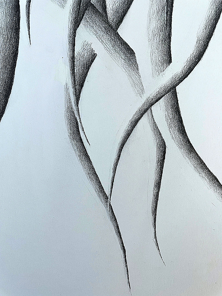 Roots Detail Web Roots My Right Brain Half copy