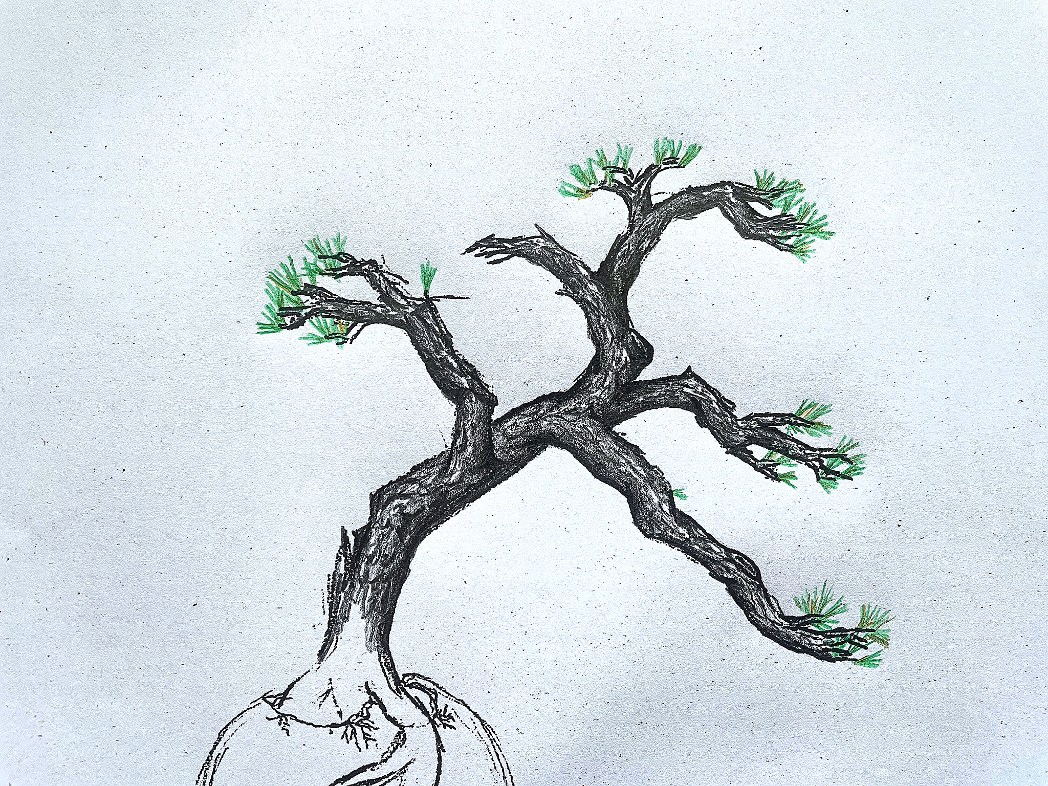 Bonsai rule the earth copy
