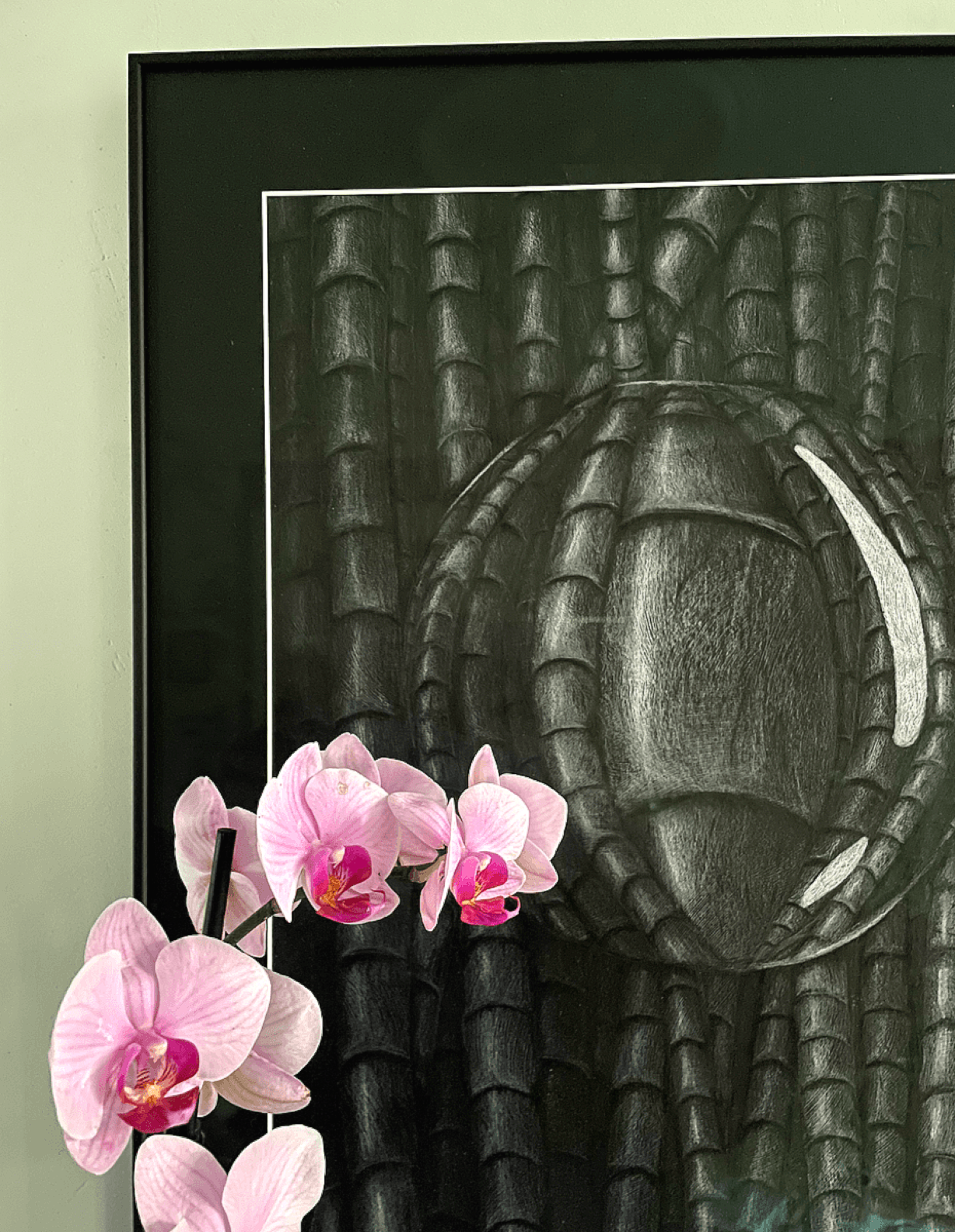 Glass perspective MVBaks