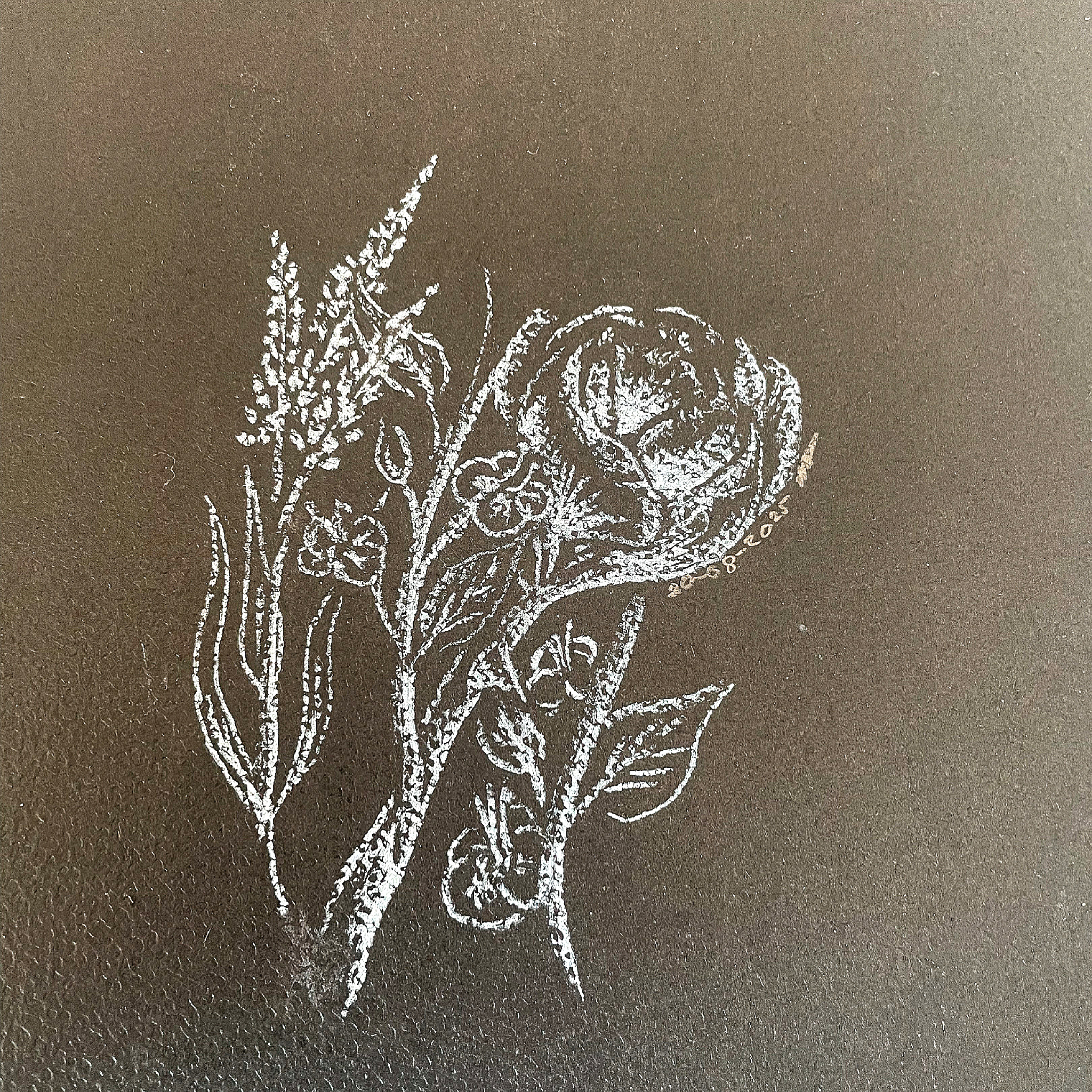 Live Lines Online #11