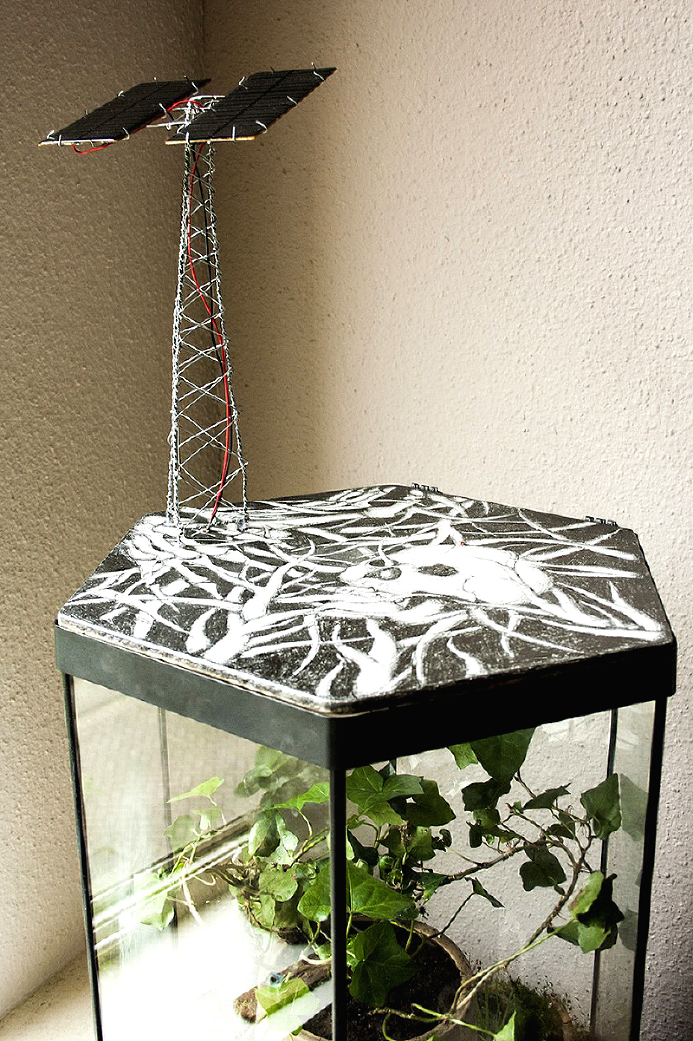 m v baks prima generation domi horti durabile 1398 large new