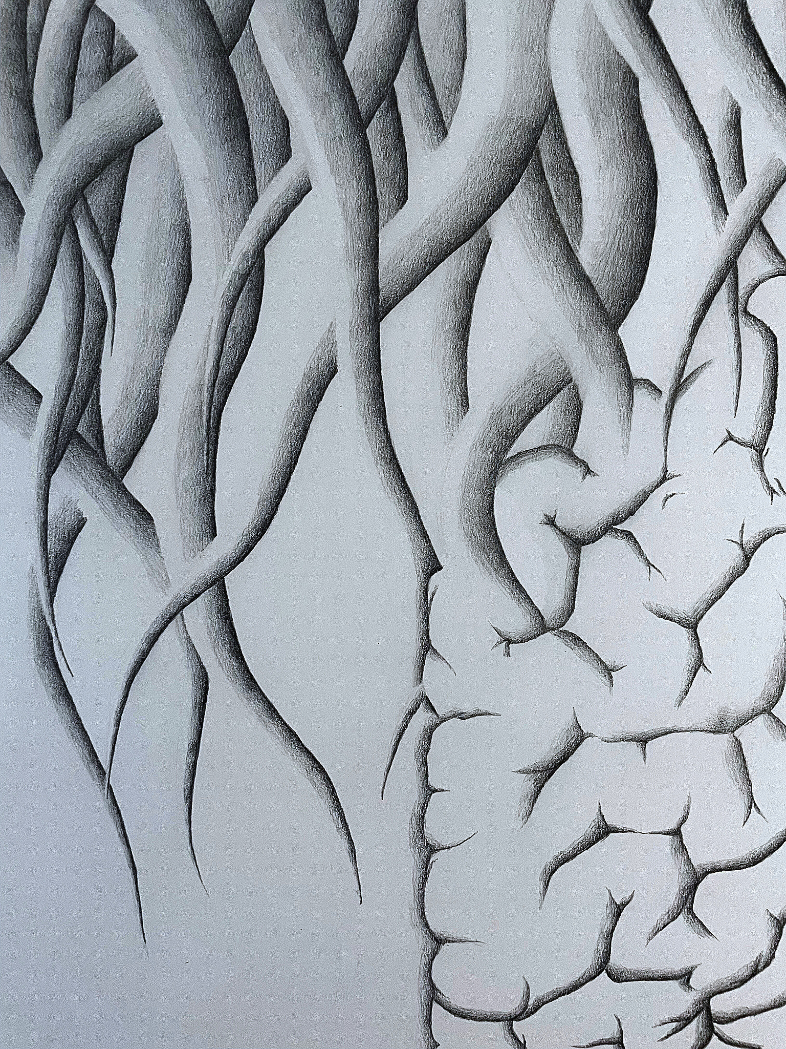 Zoom Digital Roots My Right Brain Half